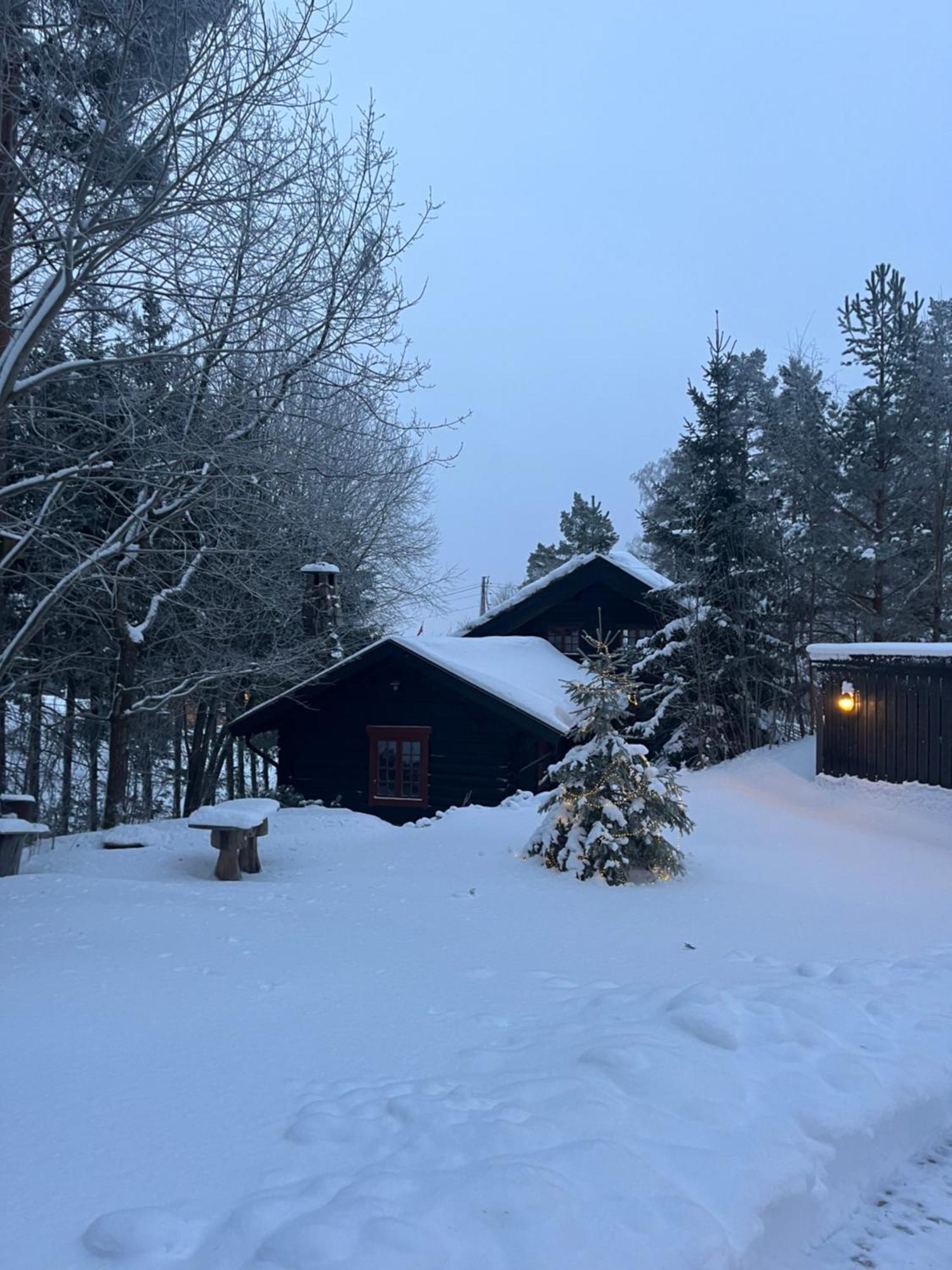 Vakantiehuis Hallingstua